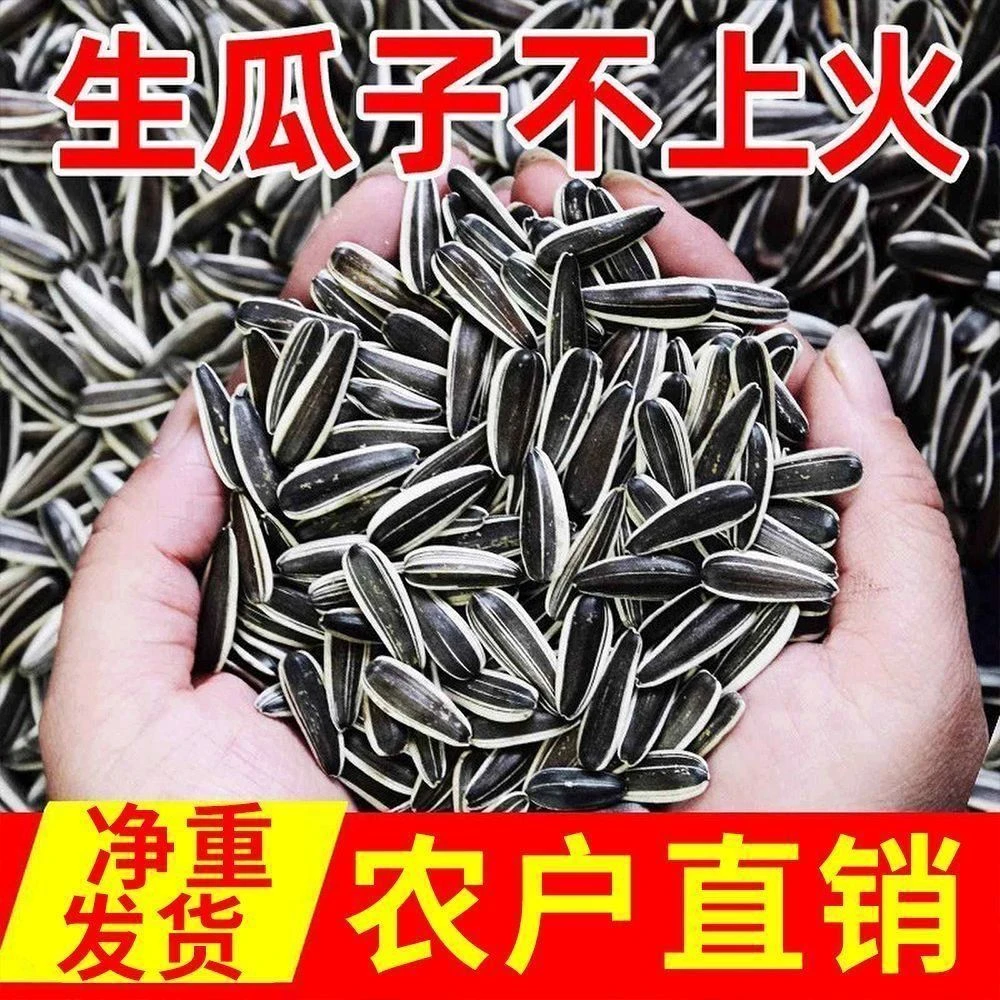 到手2斤】薄皮原味生瓜子葵花籽大颗粒毛嗑葵花籽瓜子批发坚果1
