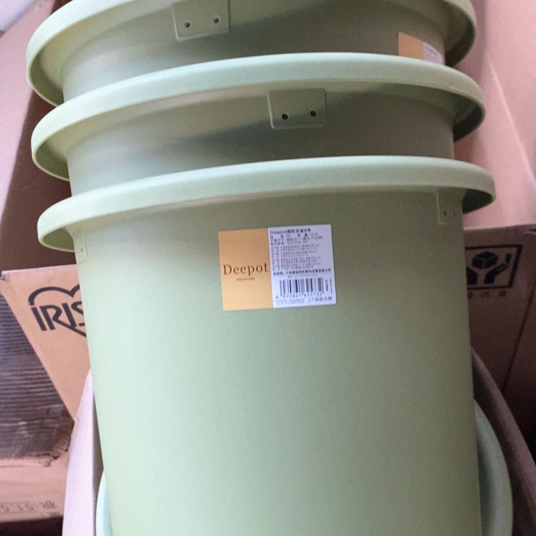 3个爱丽丝9号草绿无托
