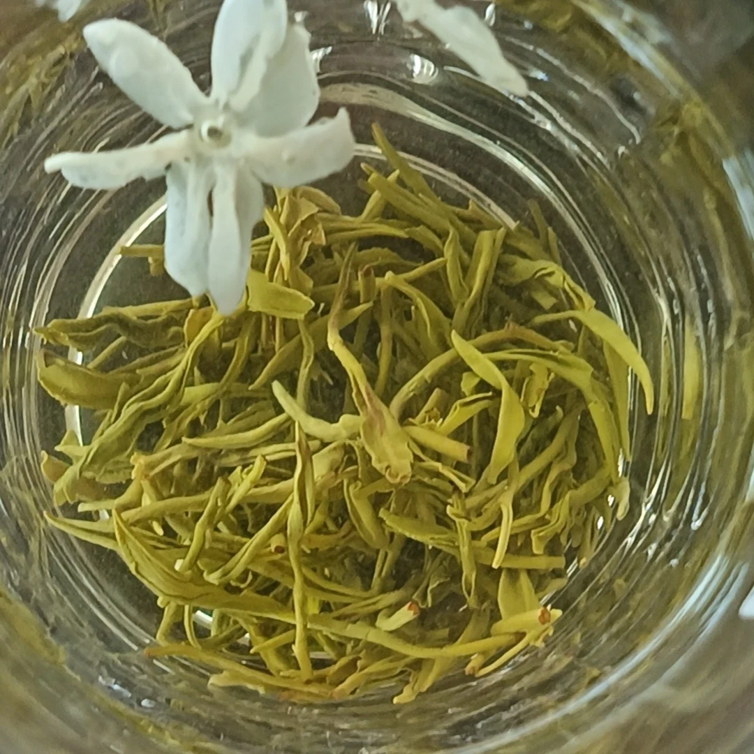 飘雪鲜香茉莉花2025新茶