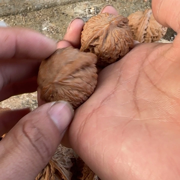 3****文玩核桃把件绣球