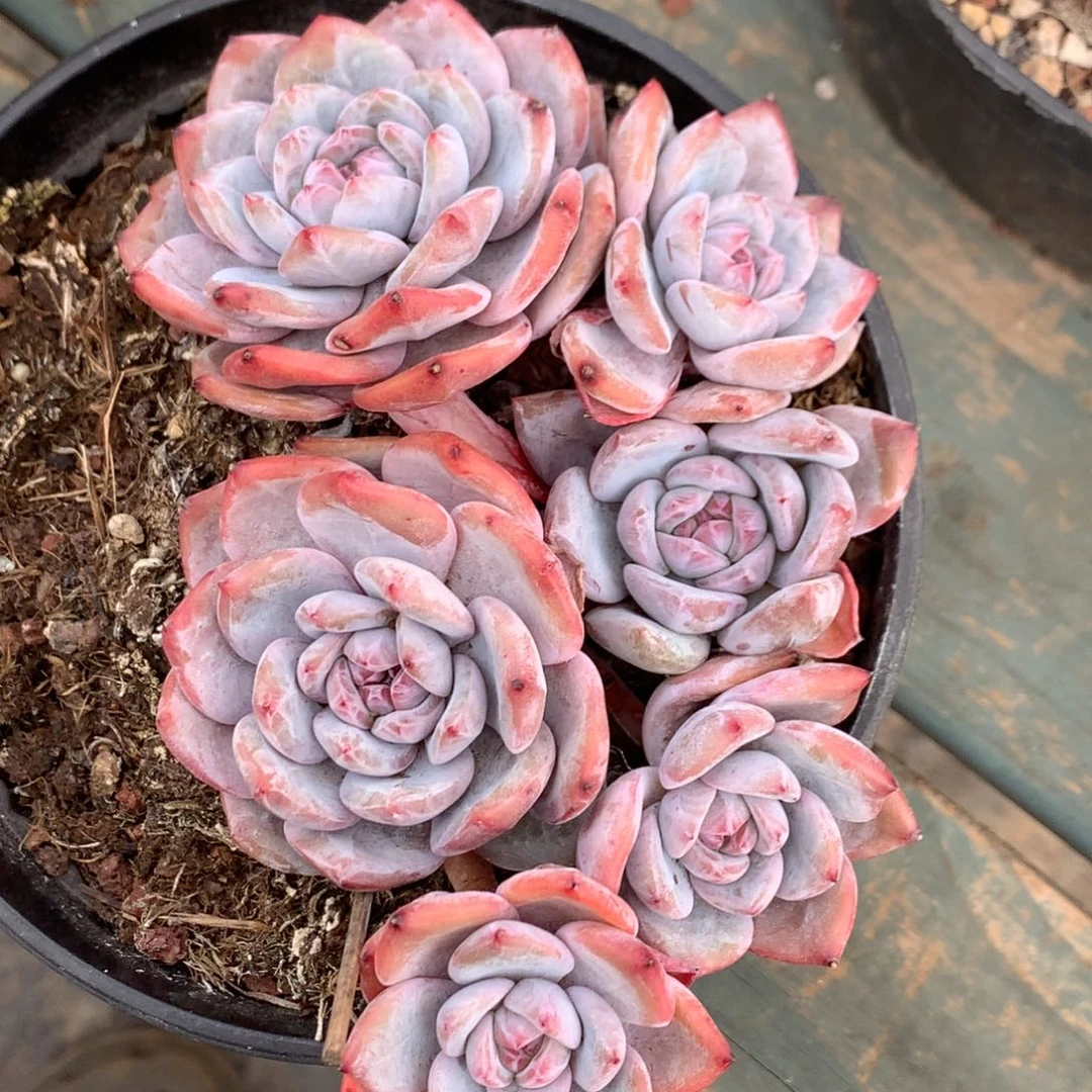 哈哈哈哈哈哈哈57