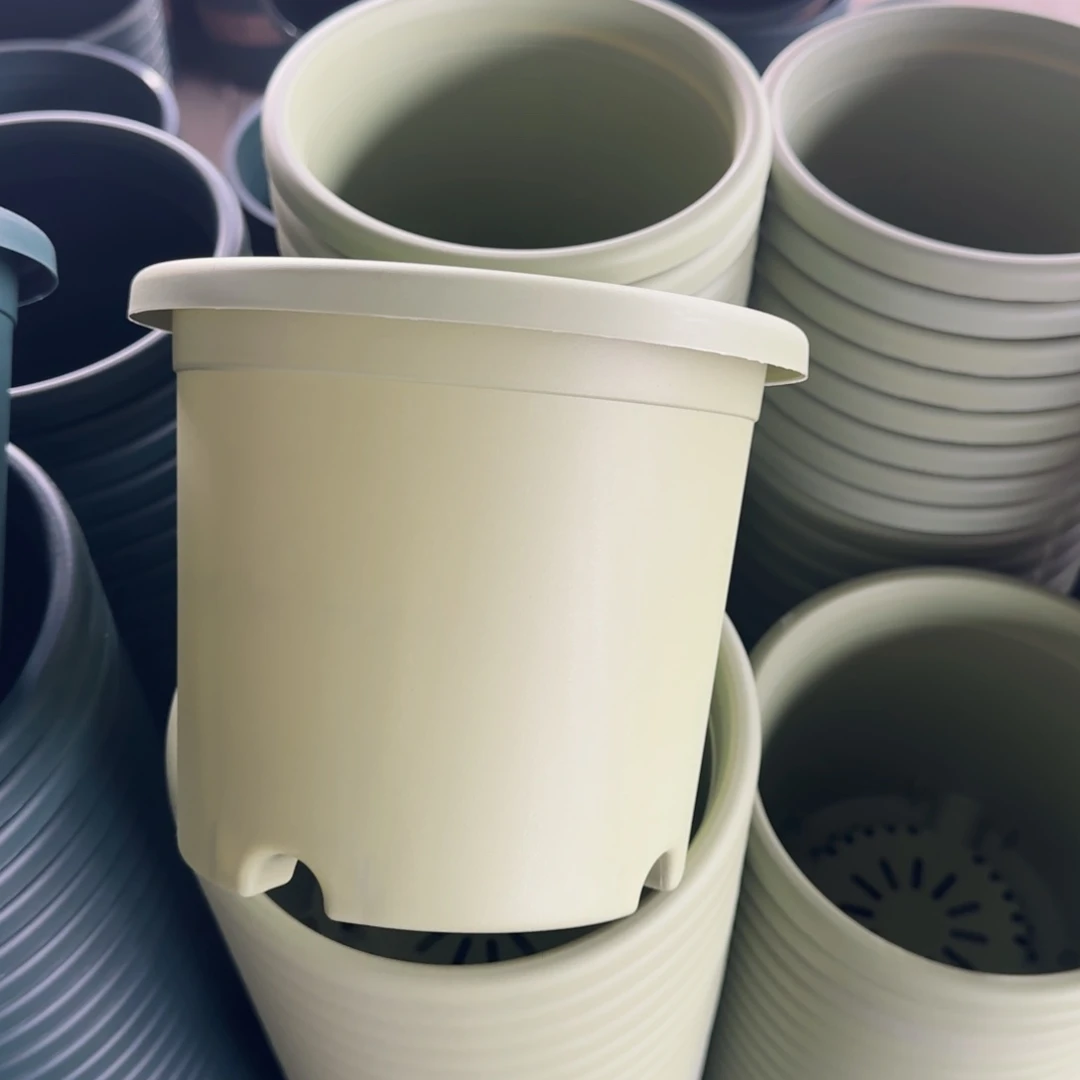 塑料四季2号22个果绿无托