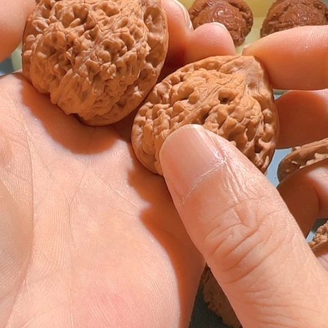 文玩核桃把件9*8蚂蚁王39