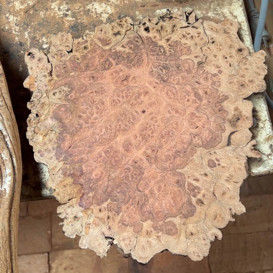 柏木（崖柏）太行崖柏陈化太行