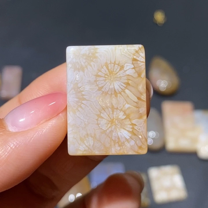 【闪购商品】未镶嵌珊瑚玉硅化玉