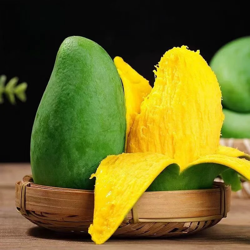 广西百色直发新鲜应季香甜多汁核薄金煌芒