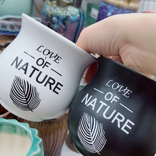 多肉绿植陶瓷花盆