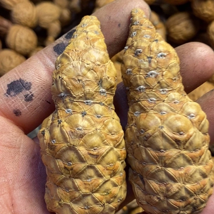 河***海吊坠文玩核桃东北特产351