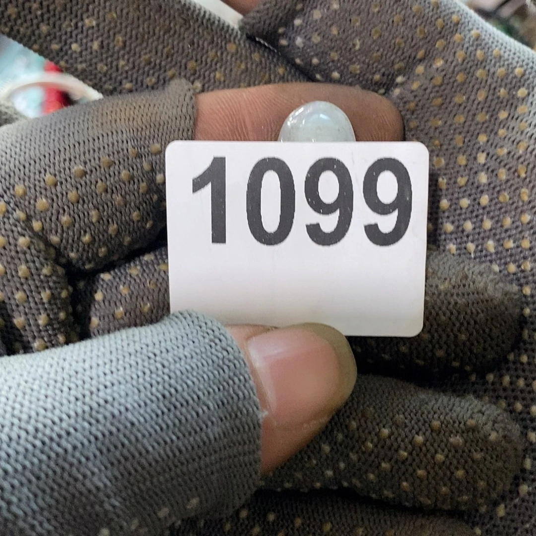 乐***店光明的未来是一个1099