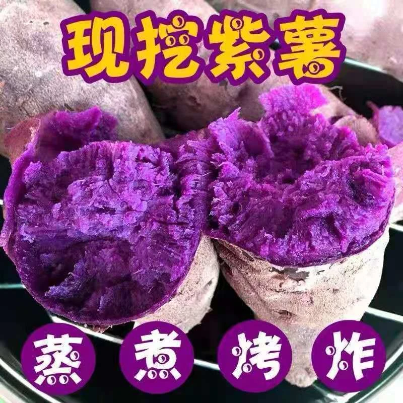 A沙地紫薯新鲜紫罗兰红薯蜜薯地瓜番薯紫薯新鲜现挖蔬菜