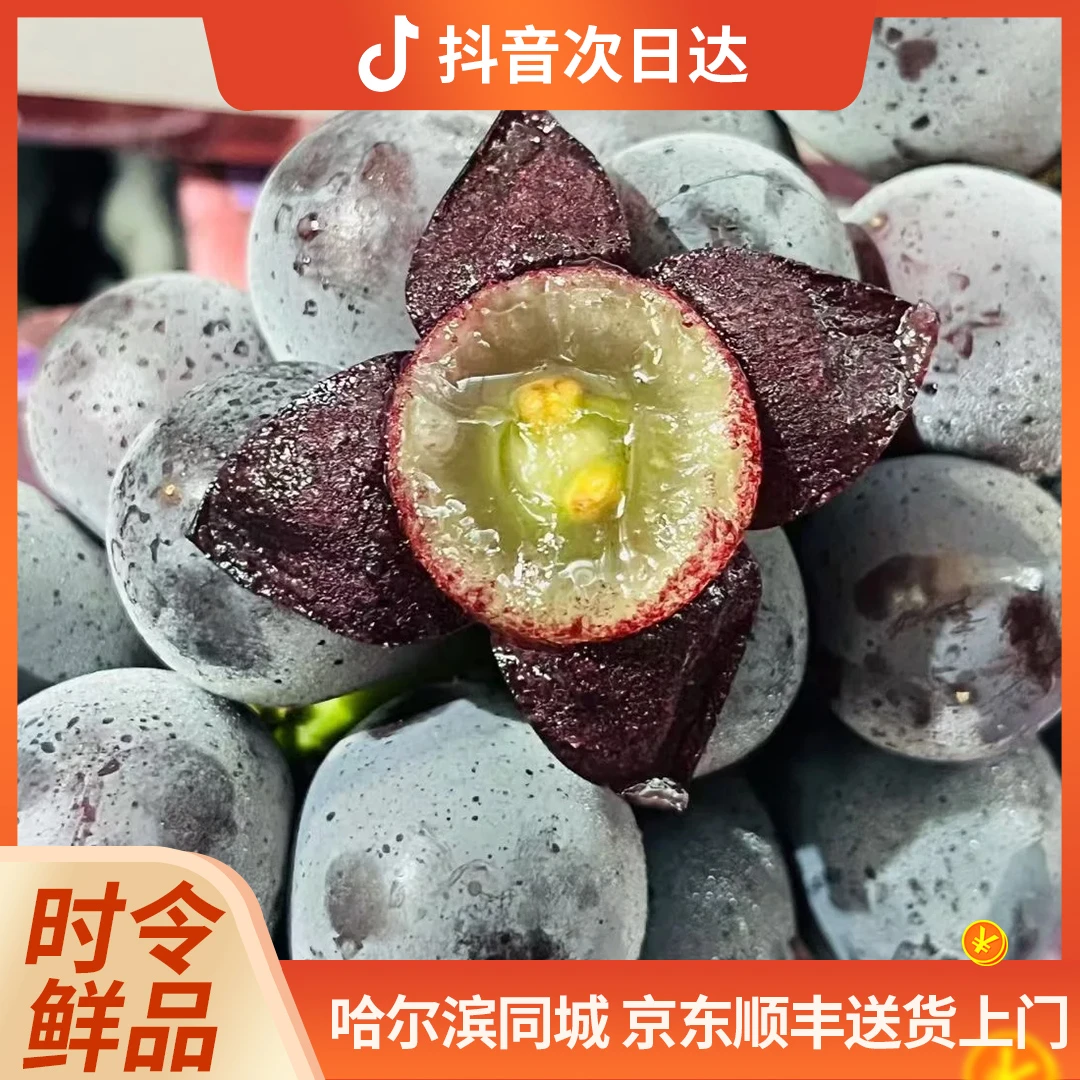 藤稔葡萄 2.5斤/箱