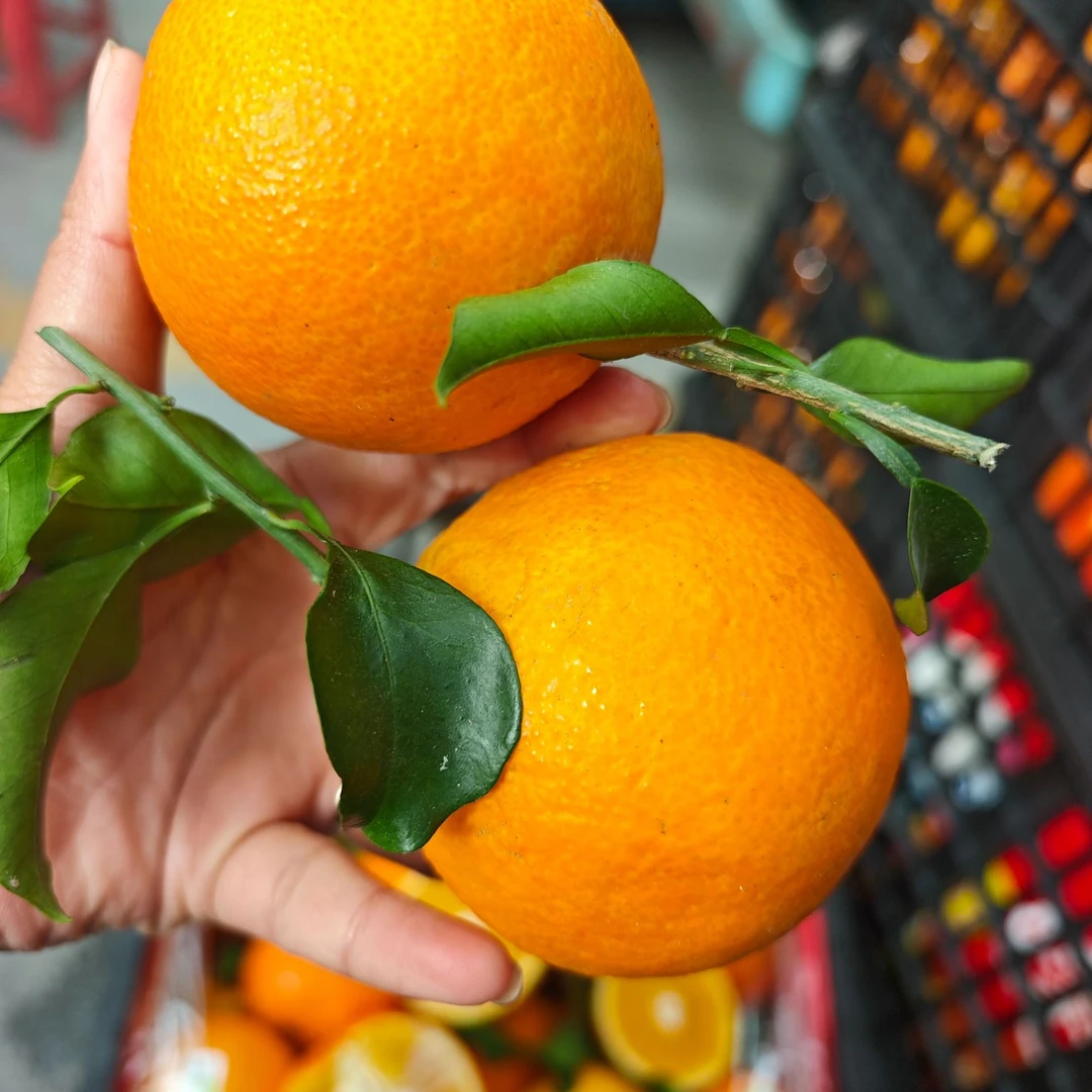四川眉山爱媛38号果冻橙新鲜当季水果皮薄香甜多汁