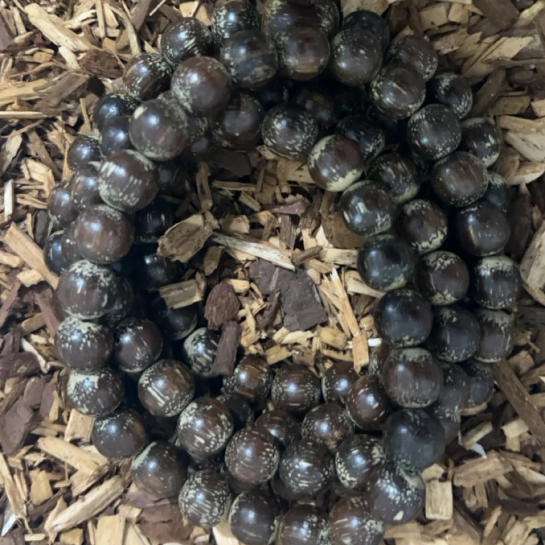 31 福来精选文玩沉香木作手串12mm