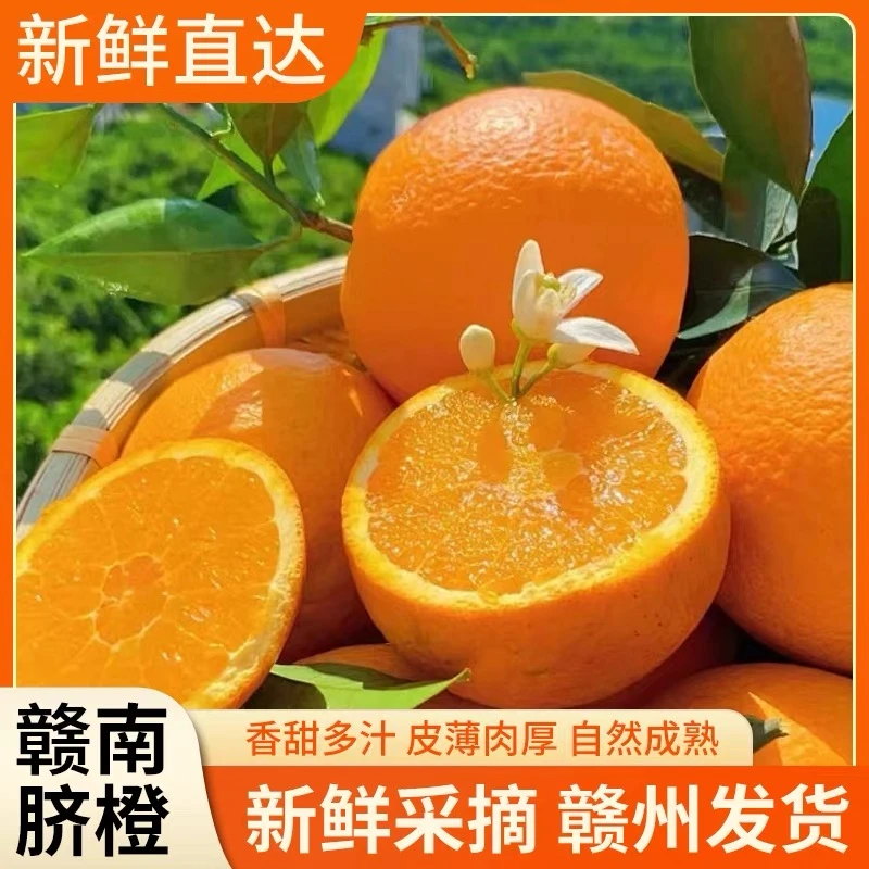 赣南特产--香甜多汁果园现摘现发正宗赣南脐橙橙子