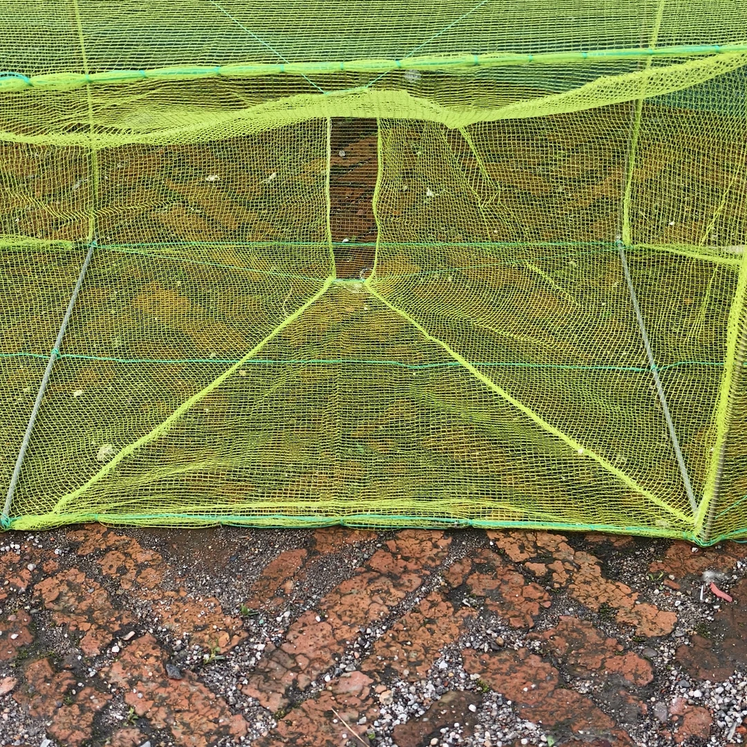 28个框40x50满口方框