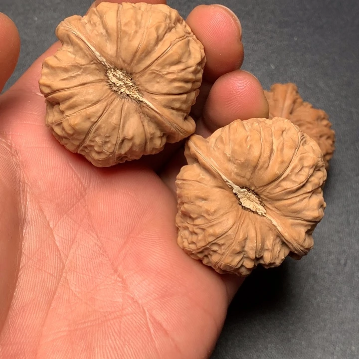 文玩核桃把件44南瓜600