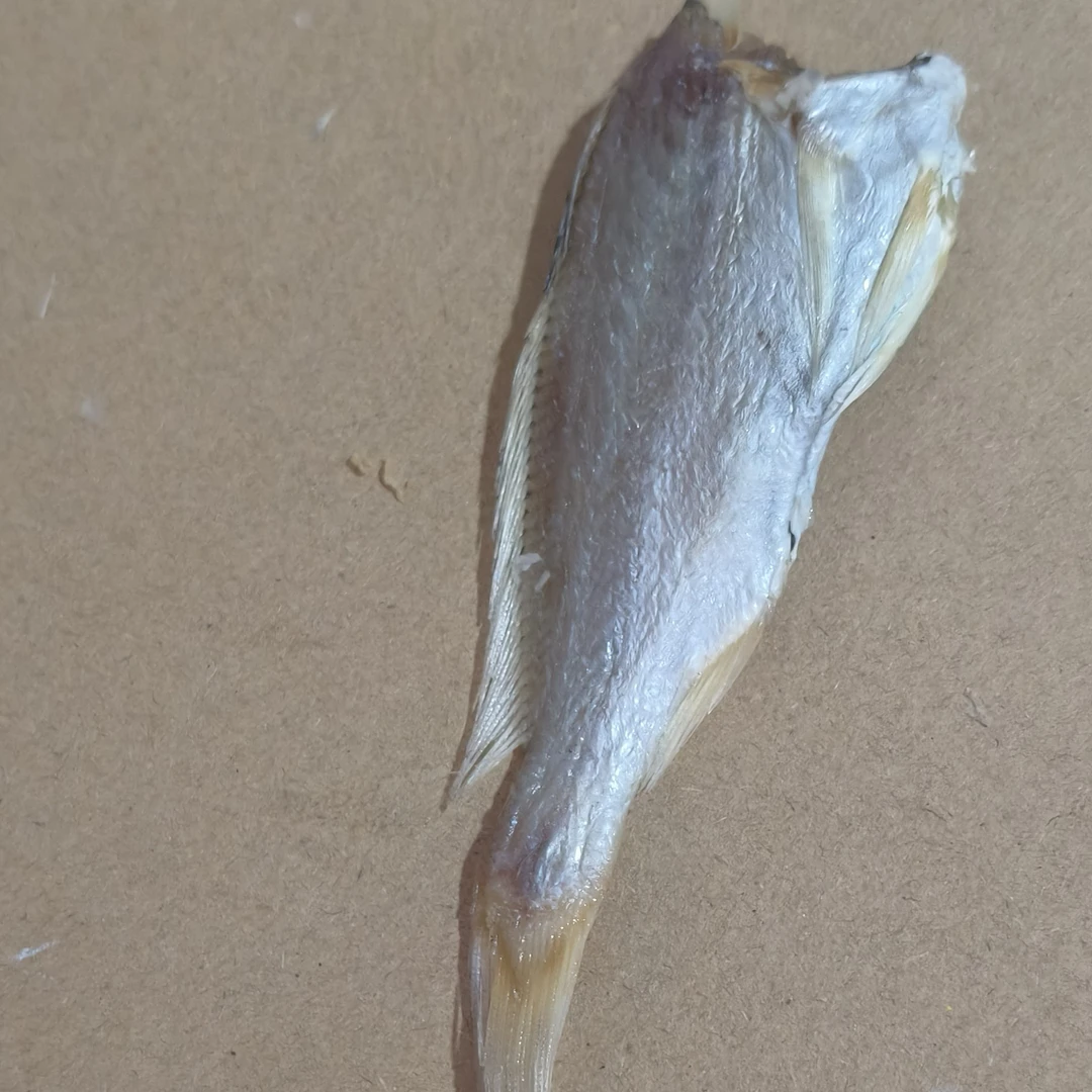 湄洲岛的纯天然的小黄鱼干