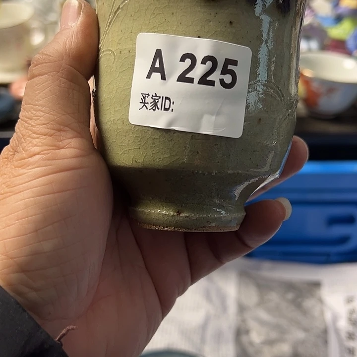 碗双*座225哈哈哈哈哈哈哈哈哈哈
