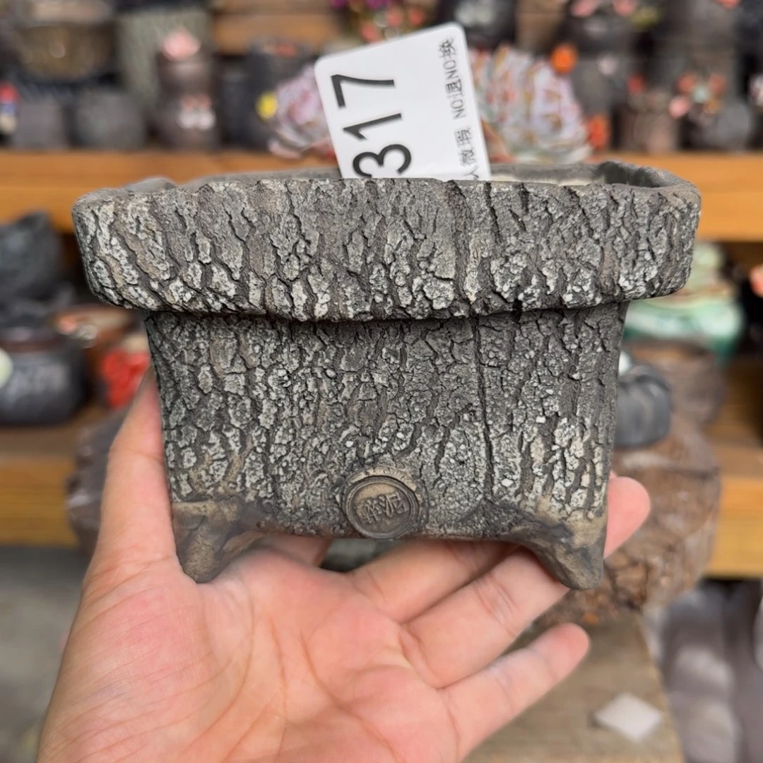 @***芳重庆小燕子欢迎大家317