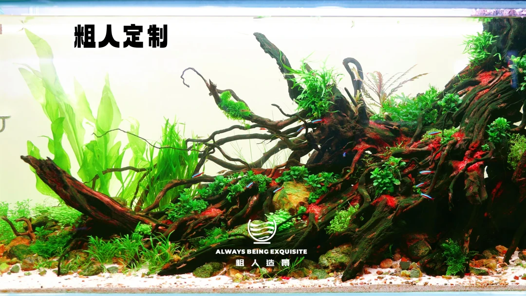 粗人造景：沉木造景，黄梨木，树桩，半岛景定制链接