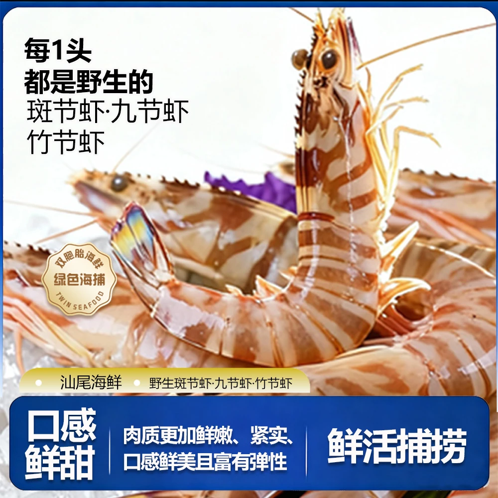 汕尾海虾【班节虾•九节虾9头左右/斤】野生拖网有瑕疵松头部分带膏