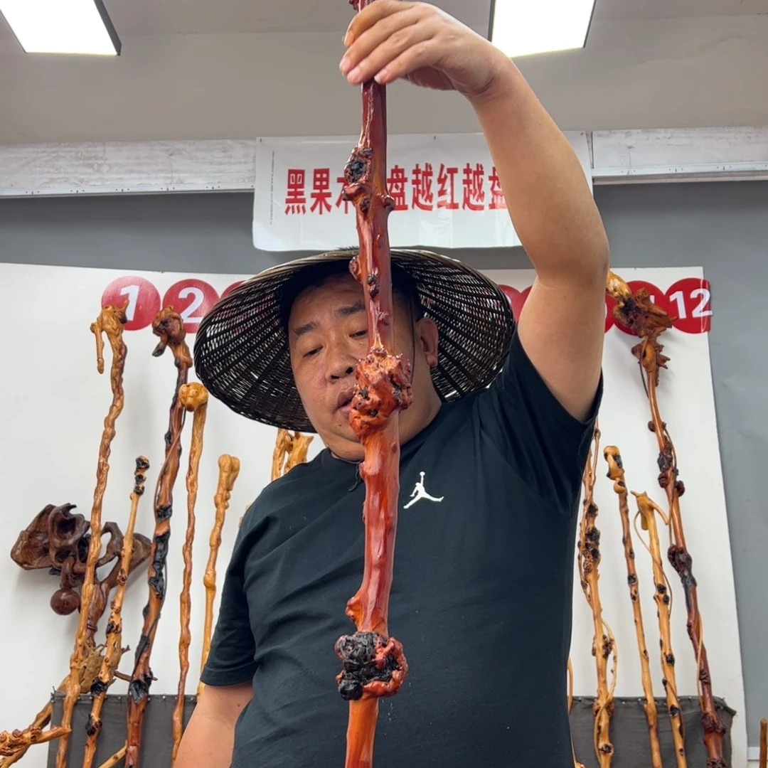 黑果木其他雪*黑果木488