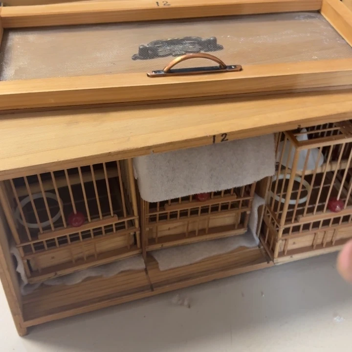 陶鸟笼啊啊啊啊啊啊啊啊啊