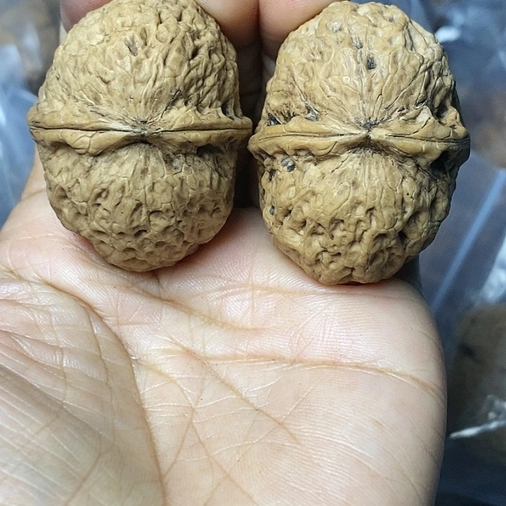 文玩核桃把件云南铁核桃95