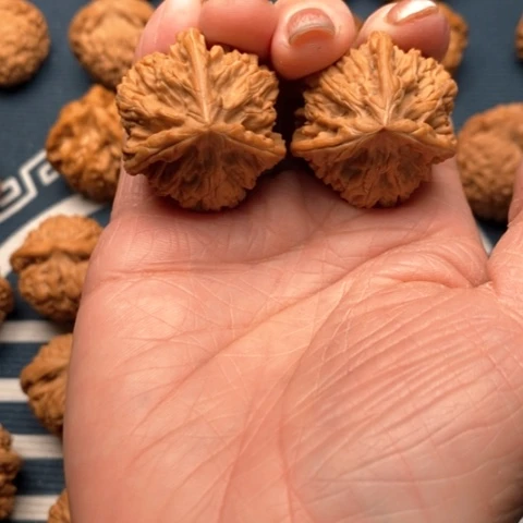 橄榄核手串/手链3**?文山三棱