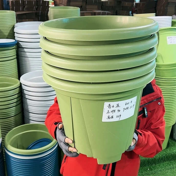 特价青山口40高34果绿无托5只