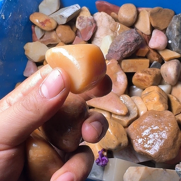 学***涯寿山石寿山石的种类