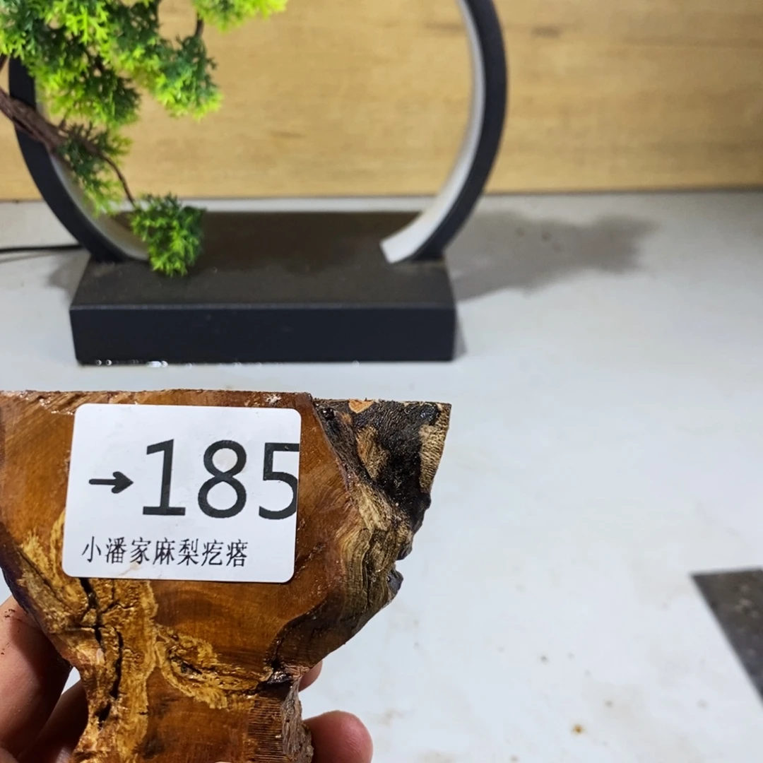 竹弓*师麻梨疙瘩木