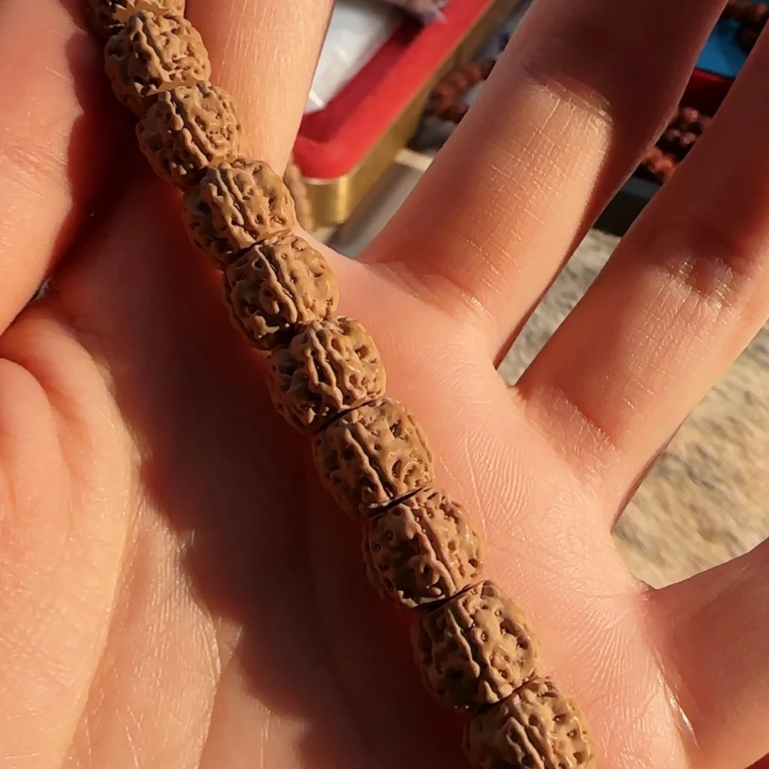 【闪购商品】吊坠金刚菩提定制级纯血一代盘龙一条一辈子级11仅此一