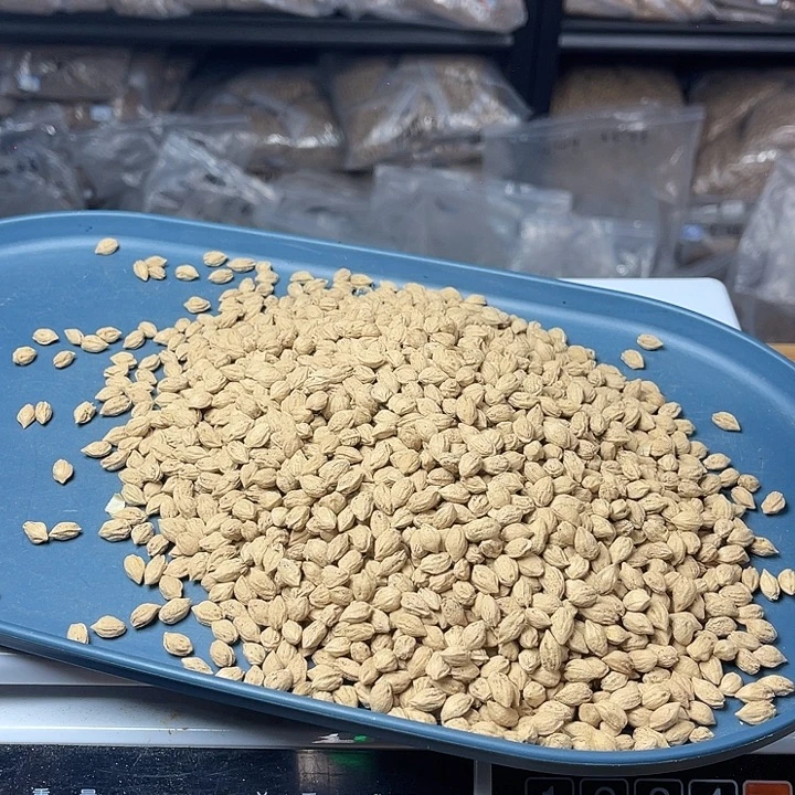 柏香籽/百香籽吊坠125克XY226