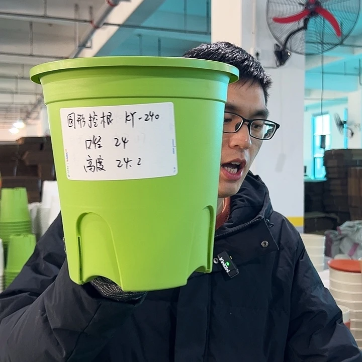 正品圆控口24高24果绿无托5只