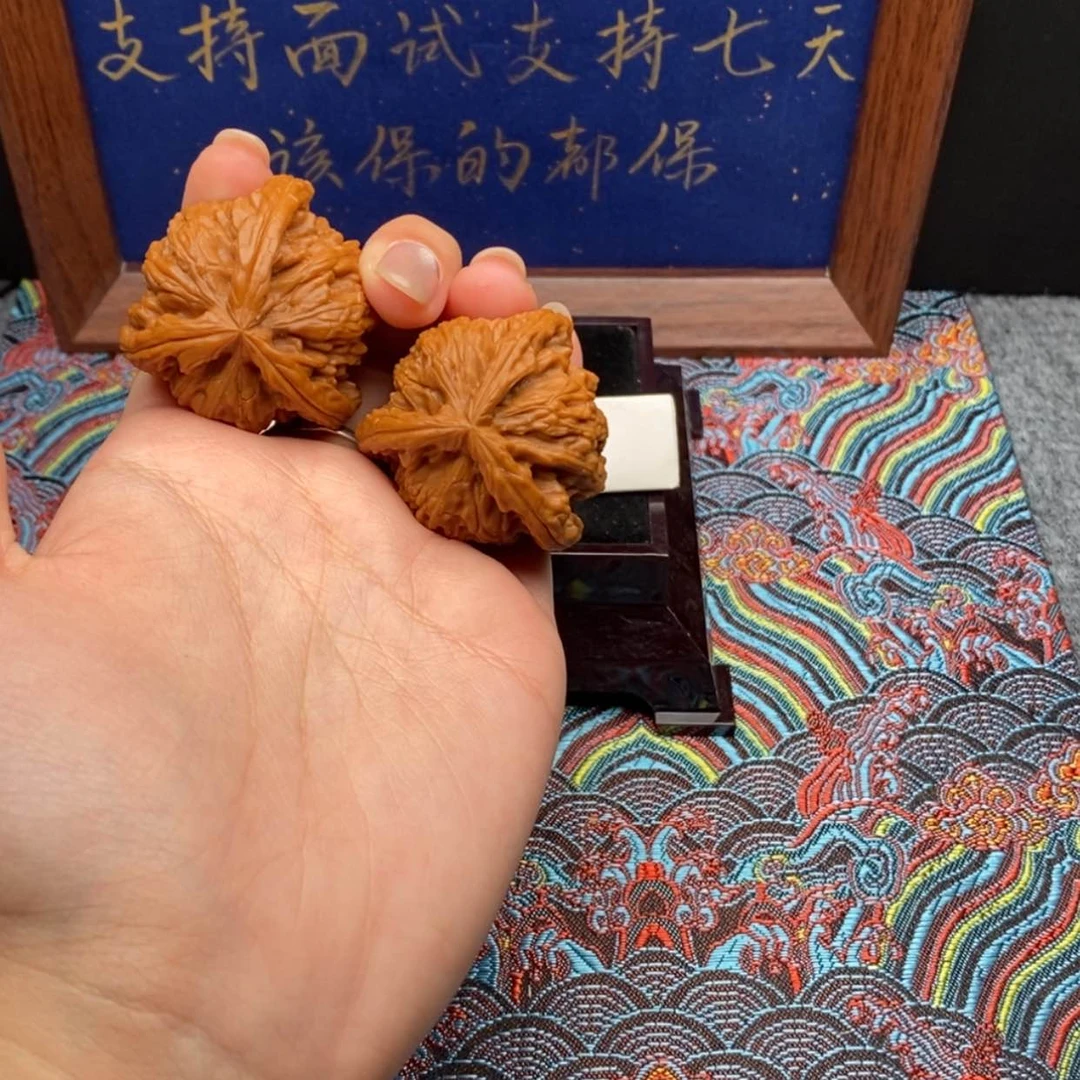【闪购商品】W*白狮