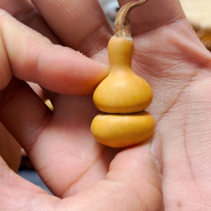 会****馆8888888888888888888