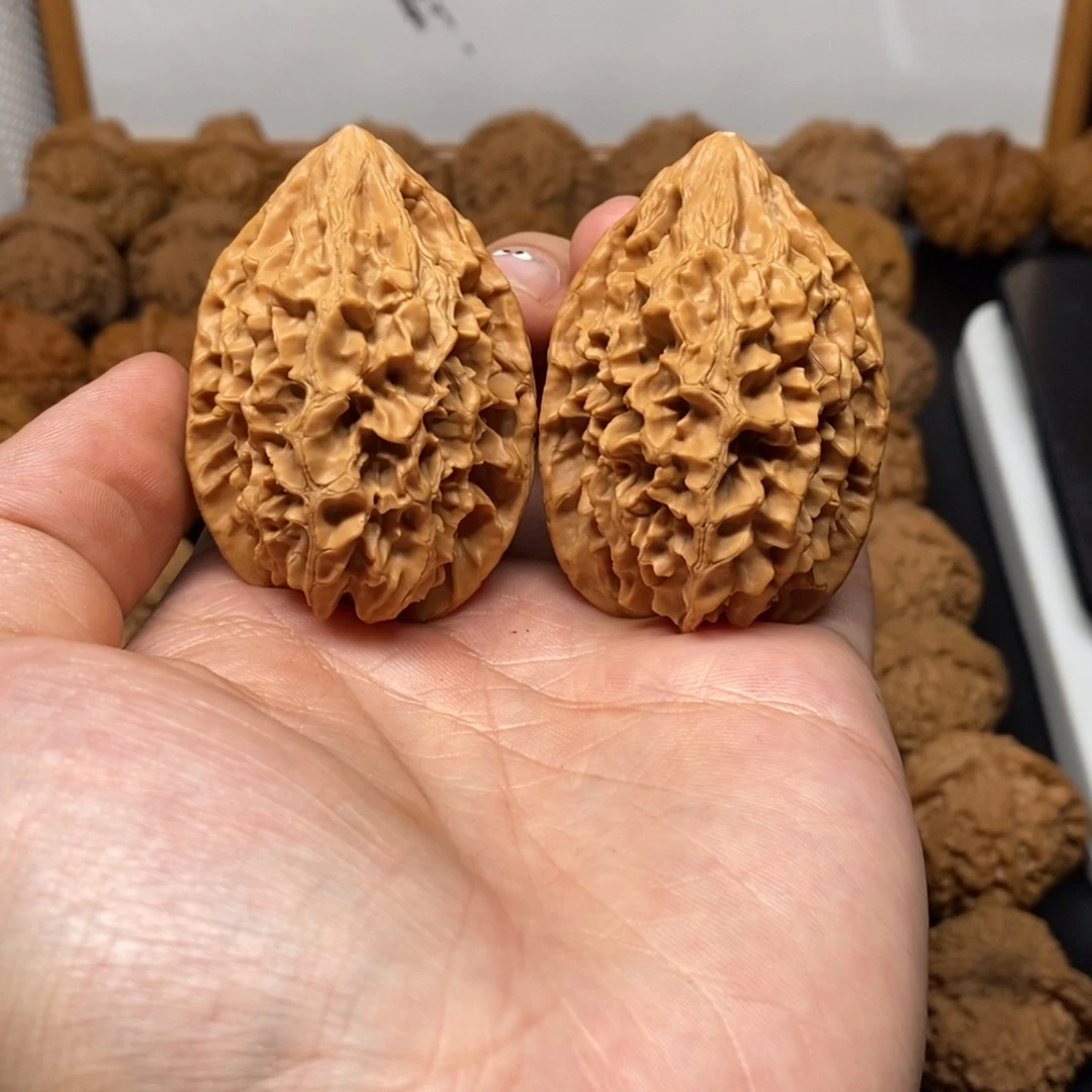 40尺全品白茬招财鼠
