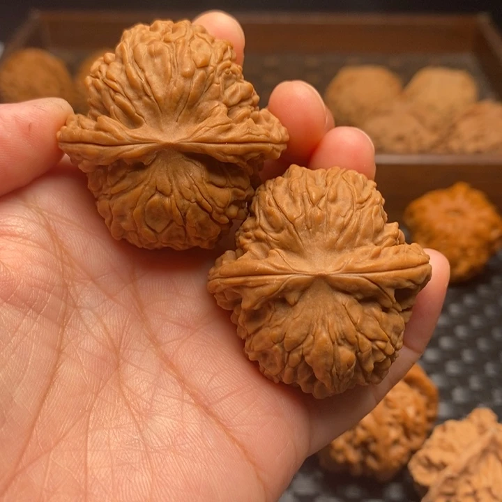 文玩核桃把件龙胆40尺