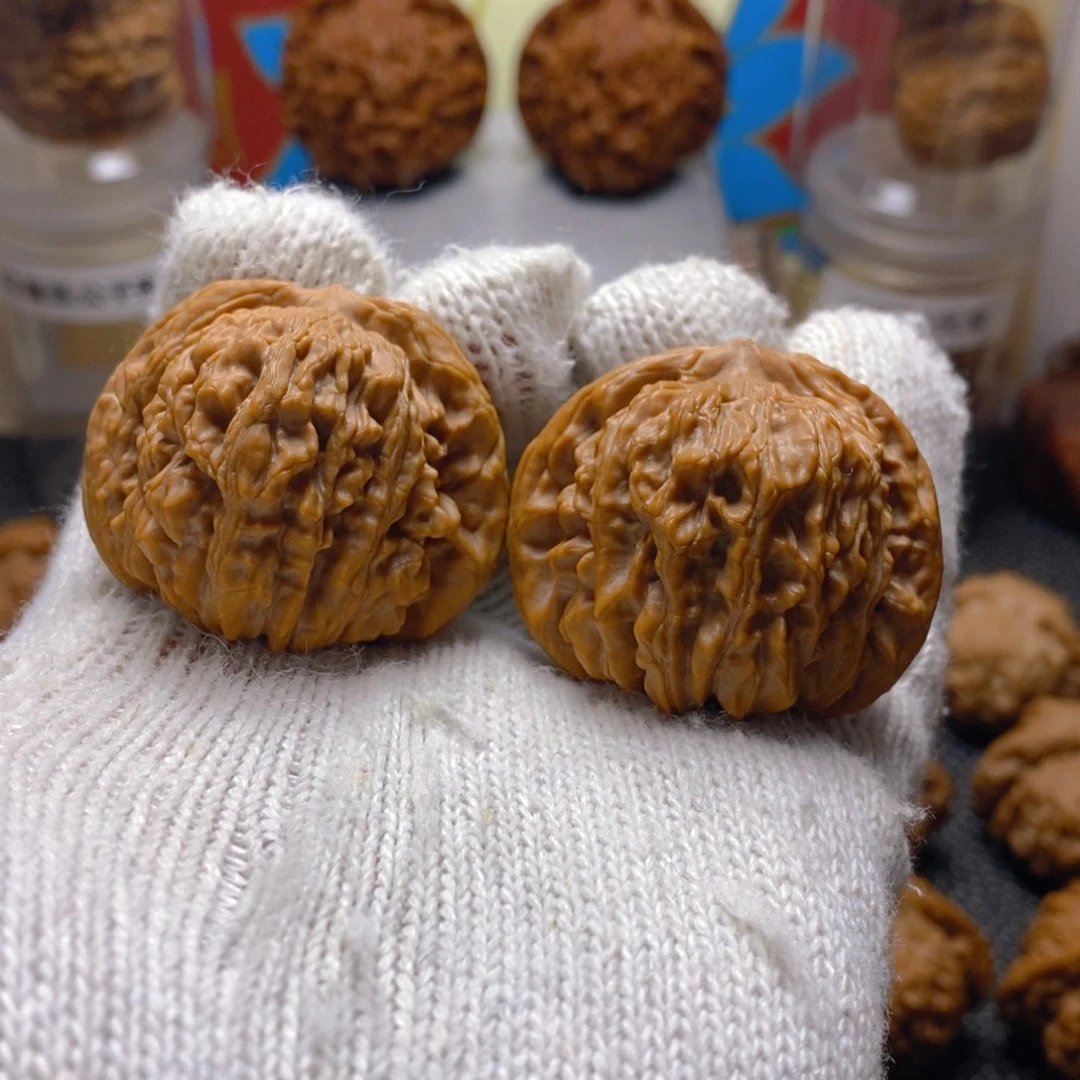 核桃熊儿寨一代楼42尺矮桩