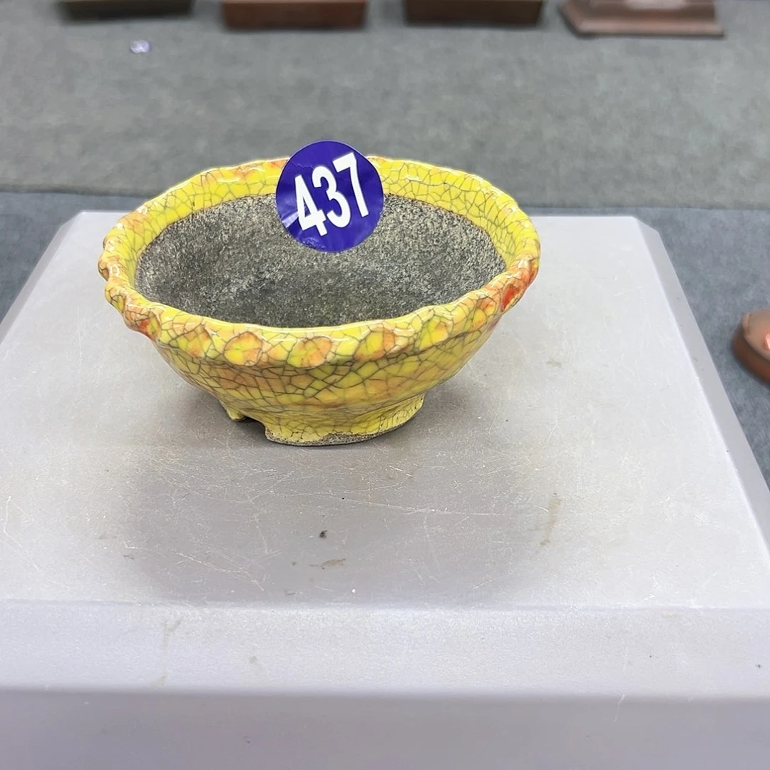 东***城对你的喜欢就如同这日子只增不减437