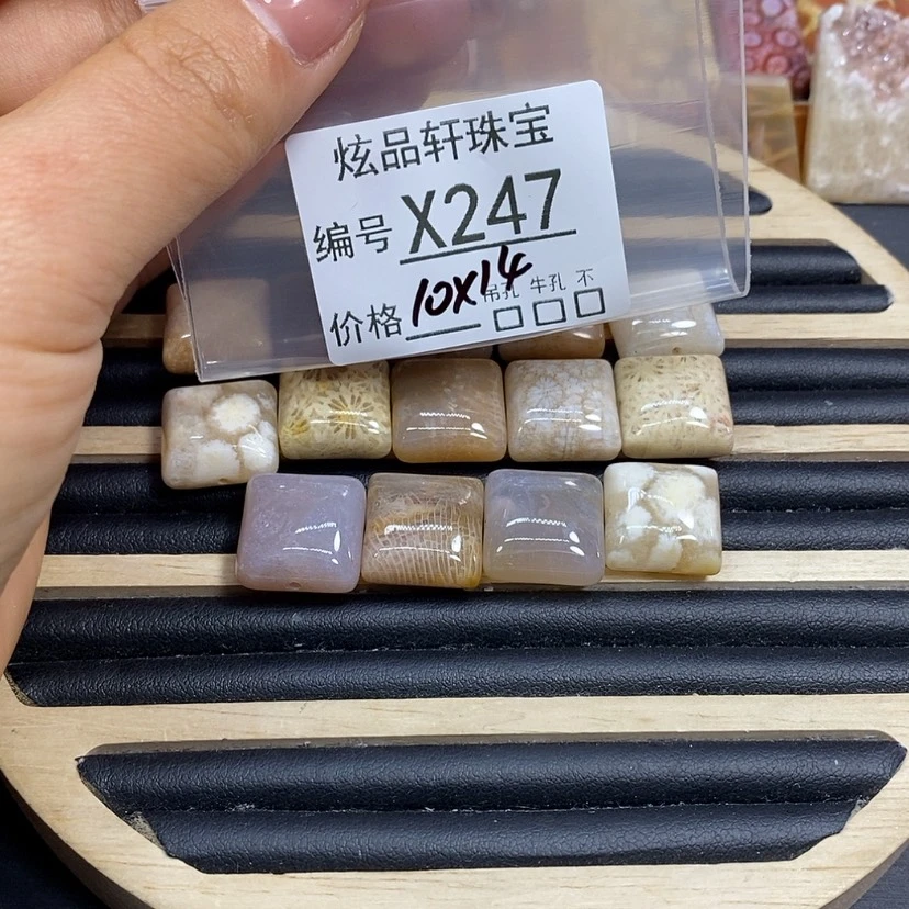 【闪购商品】硅化珊瑚（珊瑚玉）颈饰未镶嵌喵****」K247