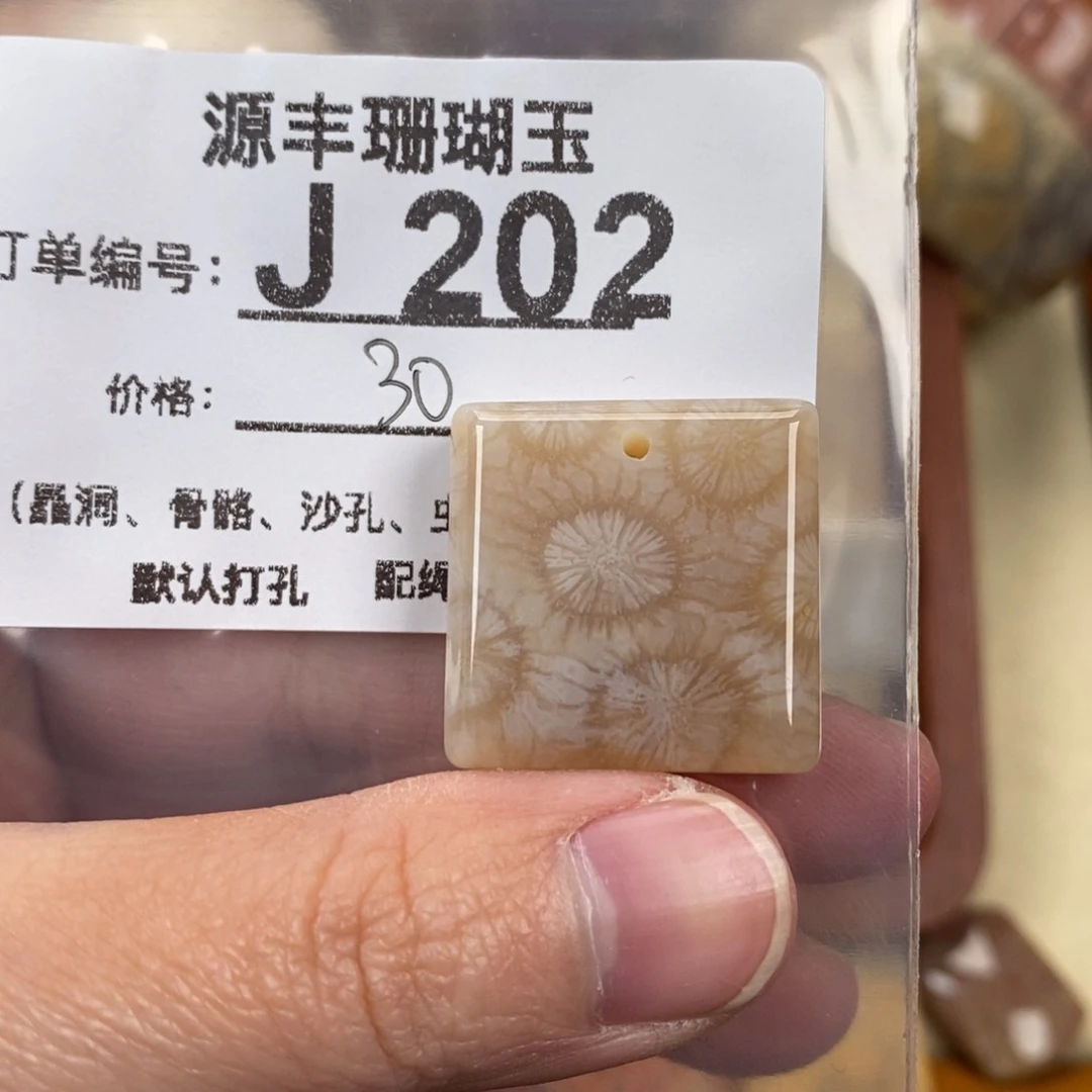 硅化玉颈饰未镶嵌?