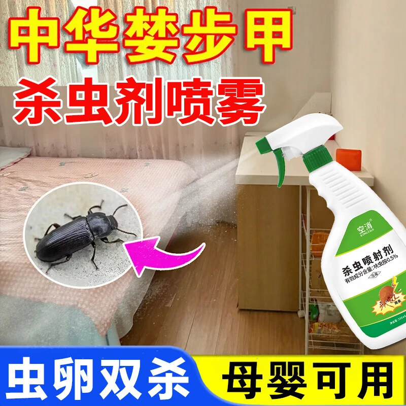 空消中华婪步甲杀虫剂家用灭小黑布甲虫除烟甲硬甲壳虫杀虫喷雾剂