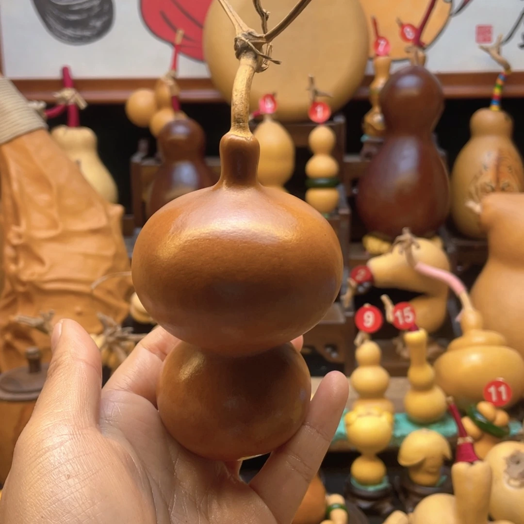 ?****大自然的秘密第十一节的