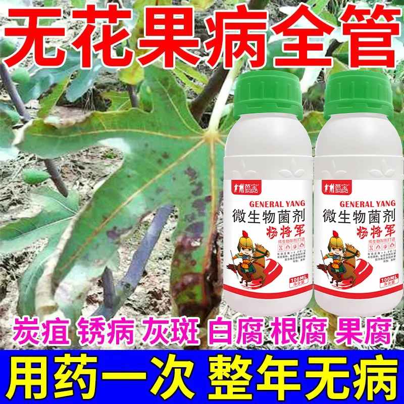 无花果专用药无花果病全治菌剂根腐病果腐病白粉病炭疽病锈病农肥