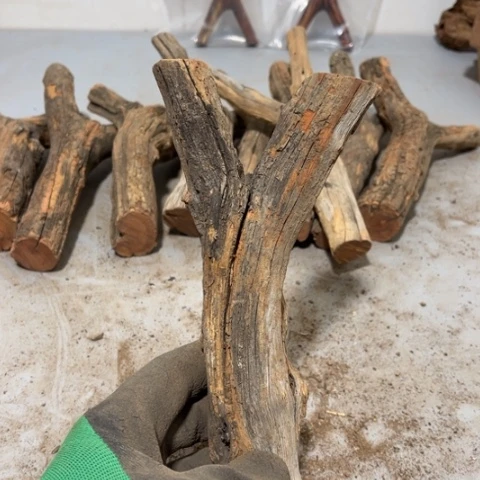 大果紫檀（缅甸花梨）曾***诺