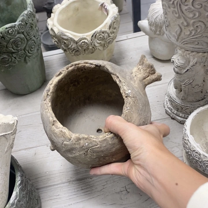 花盆54949498494848489