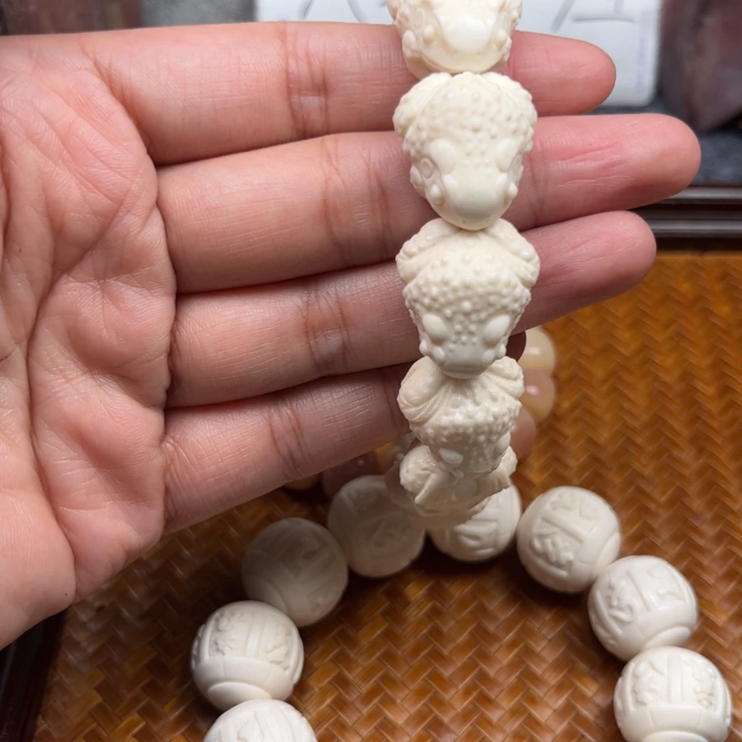 鹿骨其他用****8人工养殖驼骨28