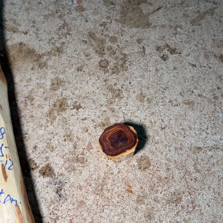 炸***面木海南，海北飞灰尘。甘受商于仪诳楚